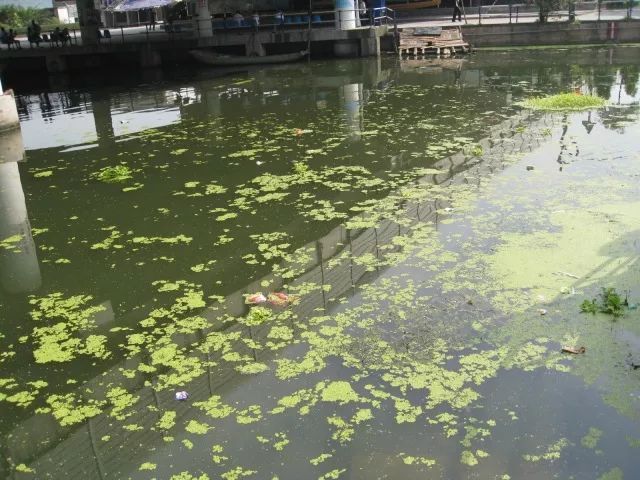 城市黑臭河道如何治理？河道黑臭水體治理思路