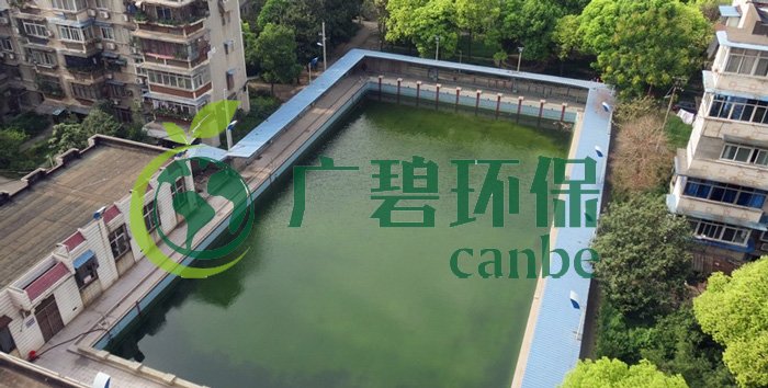 游泳池水變綠是什么原因？游泳池水處理方法(圖1)
