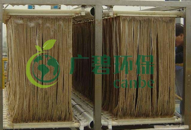 MBR污泥膨脹怎么處理？污泥膨脹的處理方法(圖1)