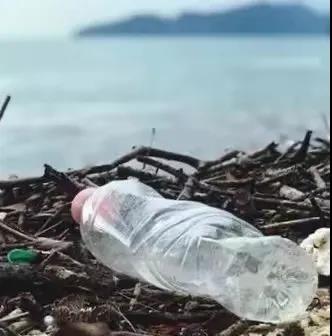 世界地球日|珍愛地球，人與自然和諧共生(圖8)