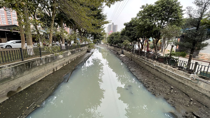 順德大良石洛涌、八坊涌整治見(jiàn)成效(圖3)